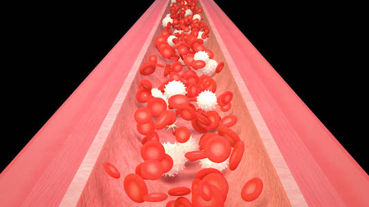 血小板和病毒3d 红细胞白细胞和血小板血流图照片