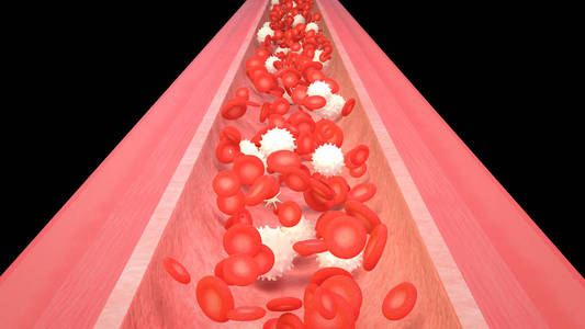 3d 红细胞白细胞和血小板血流图