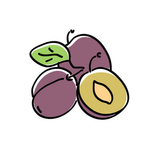 手绘李子桩照片