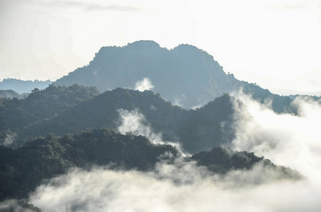 在富郎嘉花园景观