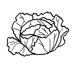 和其他看南瓜, 白菜, 西红柿, 生菜新鲜有机蔬菜复古雕花的设计模板