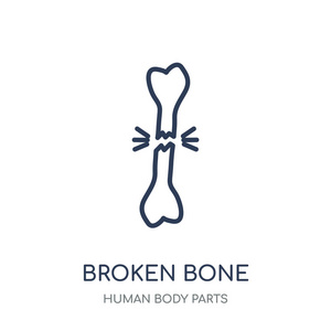 断骨图标。人体零件系列中的骨折线性符号设计