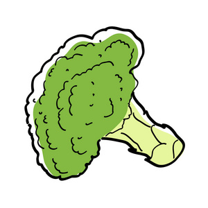 手工绘制的西兰花部分照片