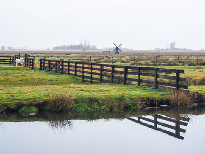 荷兰阿姆斯特丹附近的荷兰赞丹镇附近的扎恩塞桑斯 zaanse schans 的历史风车