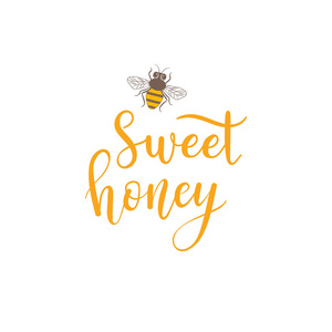 向量甜蜂蜜文本与蜜蜂。养蜂产品的背景徽标标签