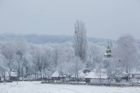 与雪在冬季公园的树木