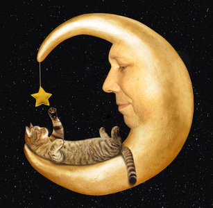 猫躺在月球上图片