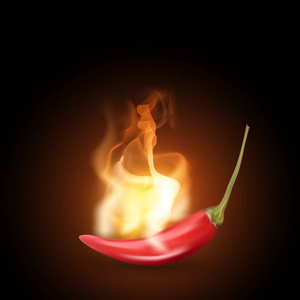 现实的创造性向量红色热火红辣椒。在黑暗背景被隔绝的火的辣椒