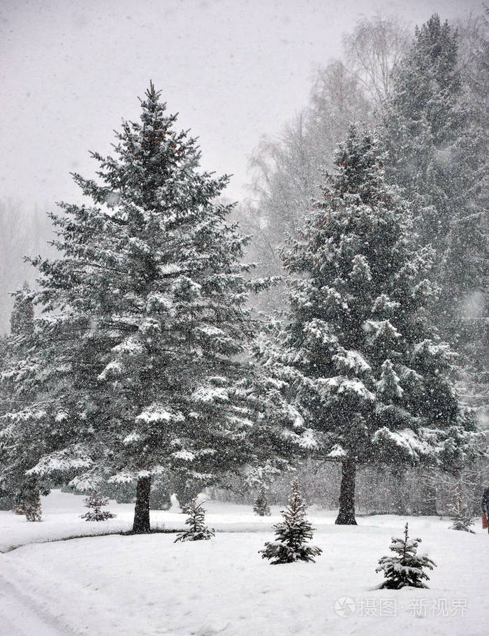 park4 的冬季降雪