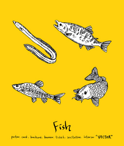 海食食品菜单插图手绘食品成分向量