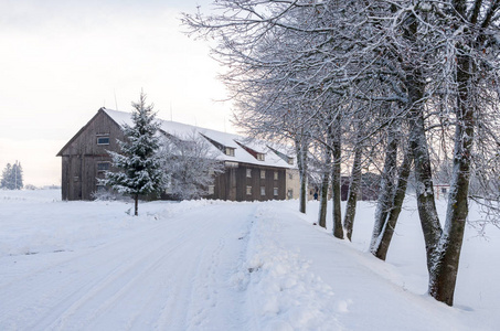 雪覆盖乡村与树