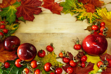 秋天背景在黄色叶子与红色苹果和玫瑰臀部