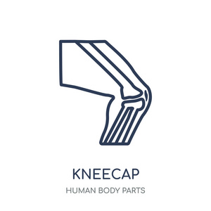 克内卡普图标。从人体零件系列中的膝盖线符号设计