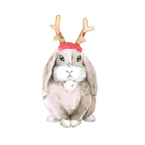 在圣诞角鲁道夫鹿的可爱的家兔耳。隔离在白色