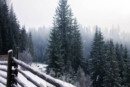 在冬季森林的喀尔巴阡栅栏