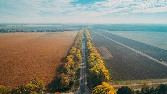 在乌克兰的新道路鸟瞰图。秋天。道路标记