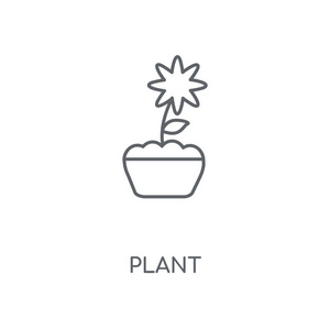 植物线性图标。植物概念笔画符号设计。薄的图形元素向量例证, 在白色背景上的轮廓样式, eps 10