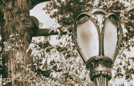 中央公园灯柱