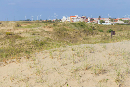 沙丘 植被和建筑物在卡西诺海滩