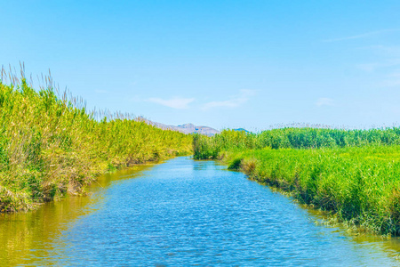 Spai Albufera 国家公园沼泽地