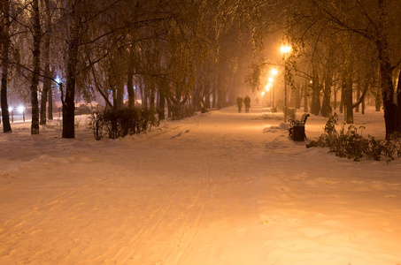 公园里的冬夜降雪