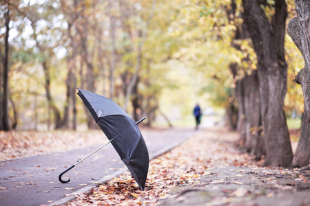 10月秋季雨季公园