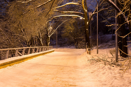 公园里的冬夜降雪