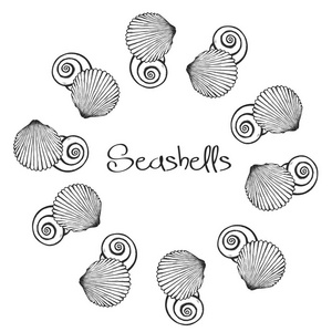 带手画贝壳的向量花环。海洋背景在雕刻风格。手绘水下向量例证与贝壳