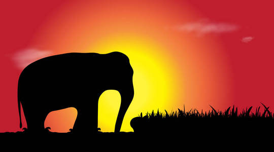 日落时大象在水中的向量剪影