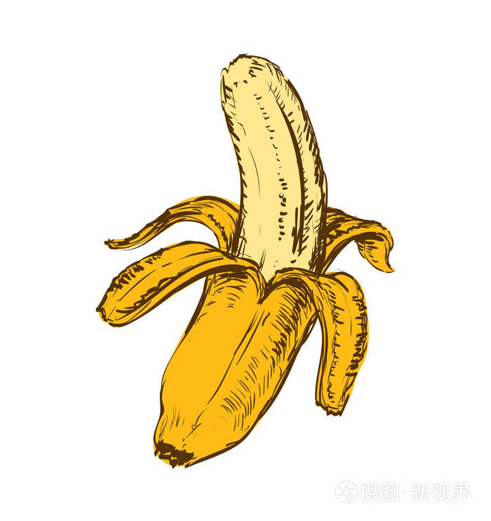香蕉查出的手绘制向量例证香蕉查出的手绘向量例证
