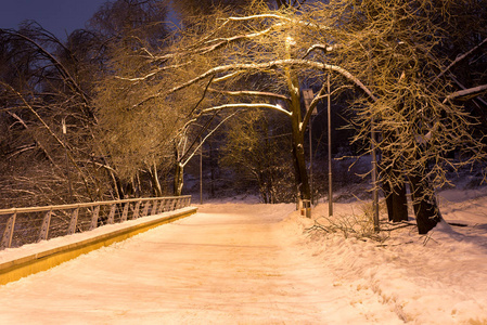 公园里的冬夜降雪