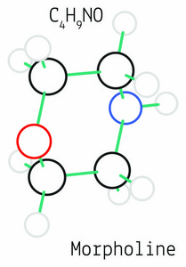 吗啉 h9no 分子