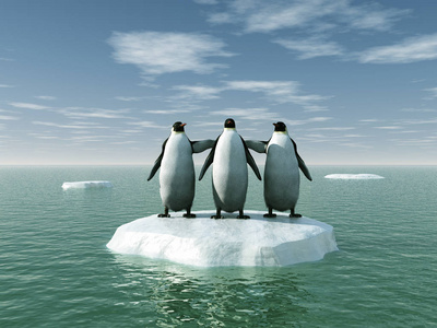 三个企鹅在浮冰