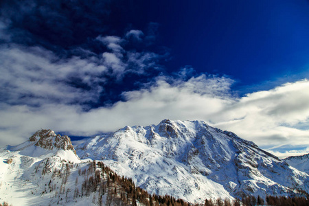 在意大利阿尔卑斯山的雪木充满了