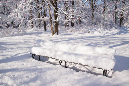 波兰的华沙公园瓦津基的树枝覆盖着雪