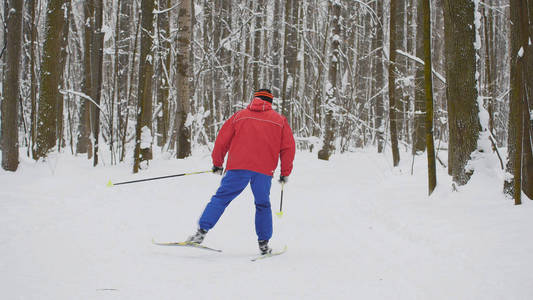 穿红色夹克的男子滑雪幻灯片在冬天雪林