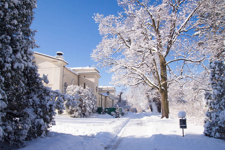 波兰华沙瓦津基公园树木之间的积雪路径