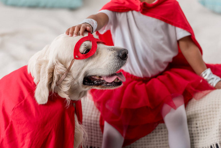 部分看手爱抚快乐金毛猎犬狗在超级英雄服装