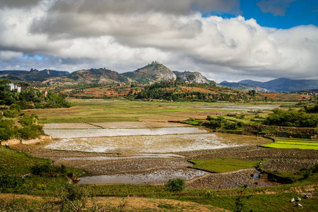 马达加斯加 Ricefields