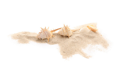 贝壳和沙子在白色背景