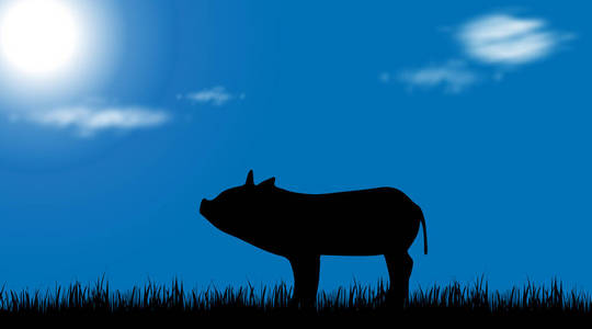 猪的向量剪影在草甸在阳光天