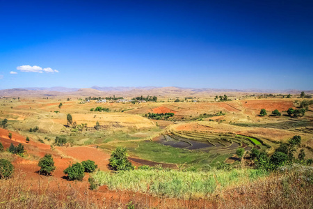 马达加斯加 Ricefields