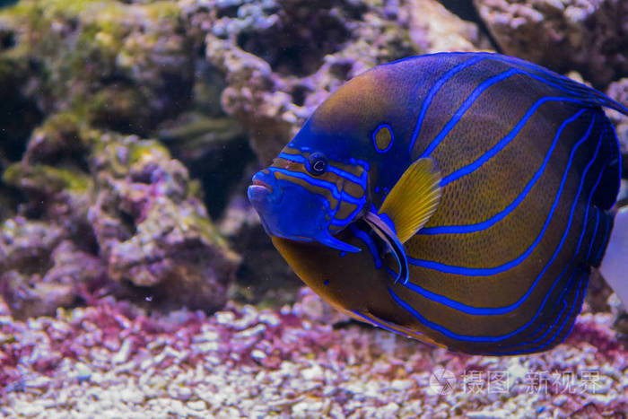 海底世界水族馆的居民