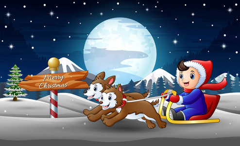 在冬夜, 快乐的男孩骑在两只狗拉着的雪橇上照片