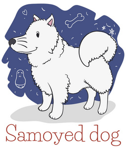 毛茸茸的白色萨摩亚狗涂鸦准备拥抱, 矢量插图