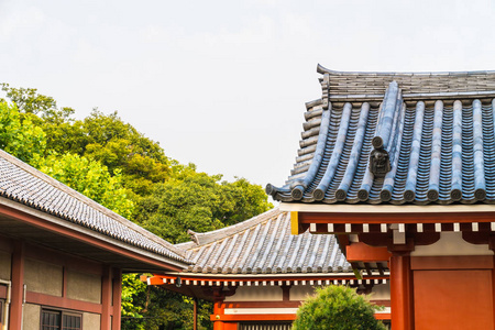 美丽的建筑建筑浅草寺寺是日本东京浅草地区著名的旅游景点