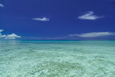 华丽的古巴海滩的宁静海洋，在深蓝色的美丽天空背景下自然邀请景观观