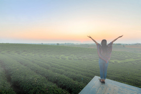 在夏天的日落时, 自由快乐的年轻女子在田野里举起双臂。生活方式旅行者妇女快乐感觉好放松。旅游优惠