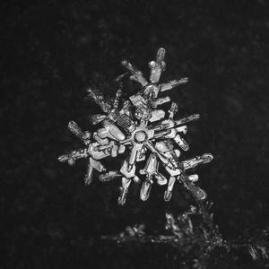 极端的天然雪花特写