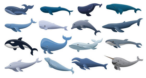 鲸鱼图标集, 卡通风格